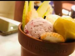 掌心花园外带冰淇淋杯-哈根达斯(SM店)