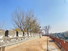 -开封城墙景区
