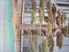 -山与蓝·轻糖鲜果蛋糕(勒泰店)