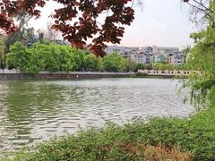 -翠湖公园