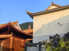 -深圳仙湖植物园