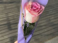 -FEI FEI FLOWER鲜花店·气球派对·宝宝宴布置(虹口德必运动Loft店)