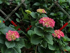 -常州古运河南大街文化旅游区-人民公园