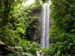 裕廊飞禽公园-新加坡飞禽公园