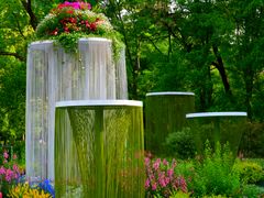 -上海共青森林公园