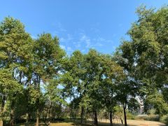 -九里河湿地公园