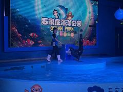 -石家庄海洋公园