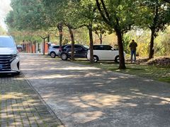 -武汉世外桃源农庄