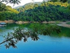 -广州市帽峰山景区