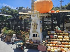 -京北渔家傲