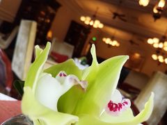 -Salon de Ville浦江汇(上海外滩华尔道夫酒店店)