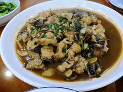 -全乐鱼馆·淳牌有机鱼直营店
