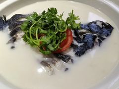 -农乐园食府(梅城镇店)