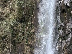 -姑婆山旅游区