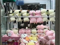 -汤姆熊欢乐世界(光启城店)
