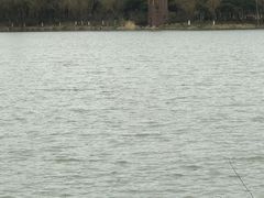 -昆山城市生态森林公园