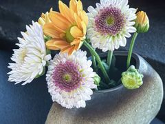 -北崖BAYARD(沙子口店)