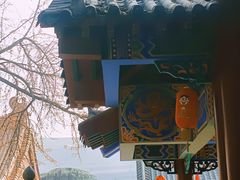 -宝通禅寺