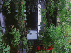 -广州兰圃