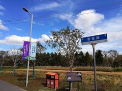 -上海长兴岛郊野公园