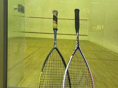 -健身专家Wellness Experts