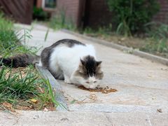 -天津东丽湖风景区