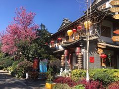 -云南民族村