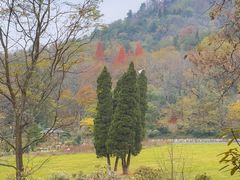 -贵州省植物园
