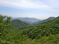 -大岭沟猕猴桃谷风景区