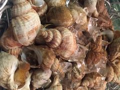 -长春净月潭喜来登酒店·盛宴标帜餐厅