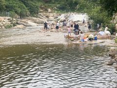 -山里人家花椒鸡(钢城店)