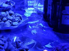 -星歌派对量贩KTV