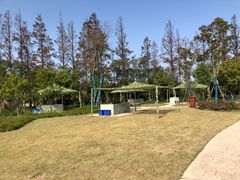 -上海长兴岛郊野公园