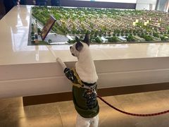 -中粮·祥云小镇