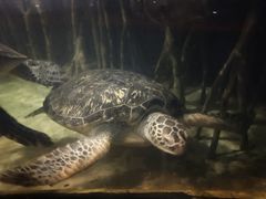 -苏州海洋馆