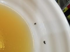 -西关竹园(荔枝湾店)