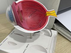 -武汉大学附属爱尔眼科医院(湖北总院)