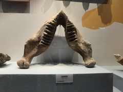 -湖南省地质博物馆