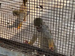-秦皇岛野生动物园