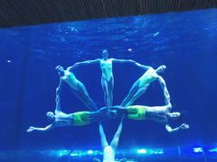 -华夏文旅海洋公园