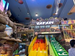 点击看大图 -卡通尼·Safari非洲探索乐园·生日会(金桥国际商业广场店)