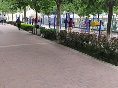 -金城公园