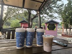 -苏州乐园森林水世界