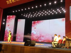 -刘老根大舞台-长春旗舰店