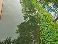 -四海公园(南山区)