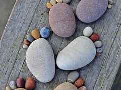 -煲宫猪肚鸡(昆山金鹰国际购物中心店)