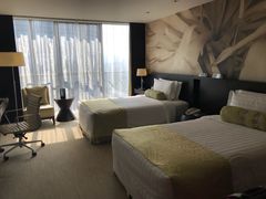 -国家会议中心大酒店