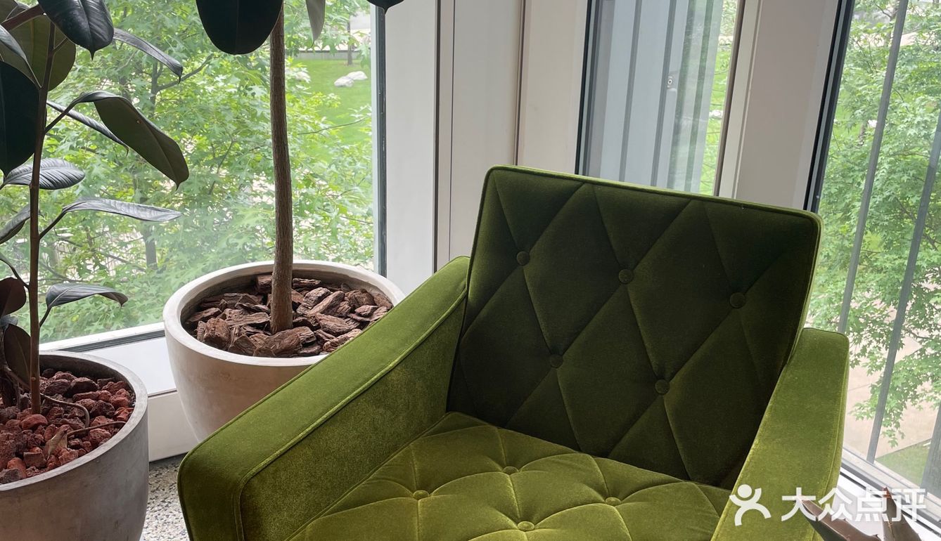 ❗️网红天目里不用人挤人了👀