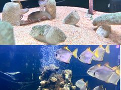 -南昌融创海世界