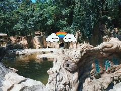 -燕塞湖鸟语林景区